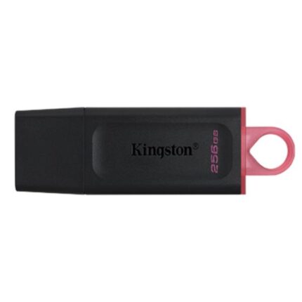 MEMORIA USB 256GB KINGSTON DATA TRAVELER EXODIA USB-A 3.2 GEN 1 DTX/256GB